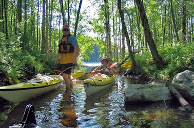 Day trip in Kolovesi National Park with kayaks